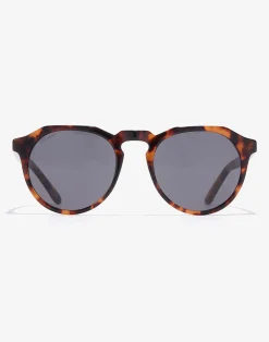 CAREY - DARK WARWICK X>Hawkers Fashion