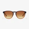 CRUSH - BROWN>Hawkers Hot