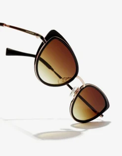 FELINE - BROWN><noscript><img width=