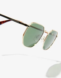 SIXGON - POLARIZED GOLD ALIGATOR><noscript><img width=